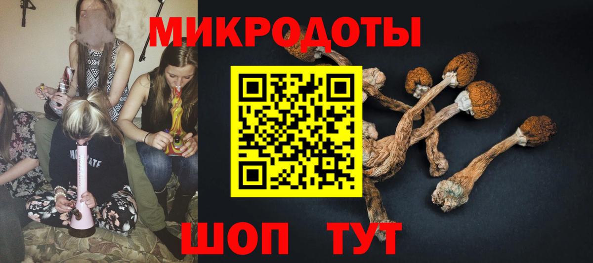 Ачхой-Мартан  наркошоп  Вход с VPN  Псилоцибиновые грибы GOLDEN TEACHER 